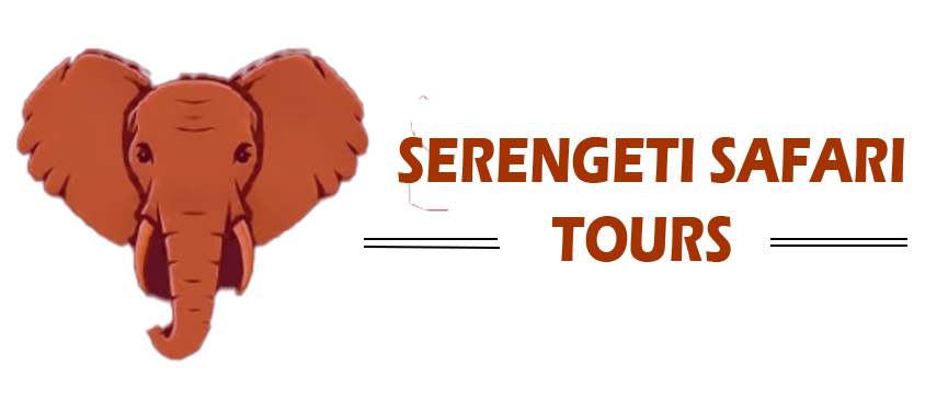serengeti safari tours